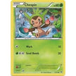 Chespin (8) (8/162) (BKT)