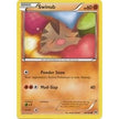 Swinub (80/162) (BKT)