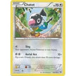 Chatot (128/162) (BKT)