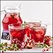 Four O'Clock - Pomegranate Echinacea (16bg)