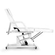 Fauteuil de tatouage électrique Greenlife Basic One Motor, blanc/noir (CH-246) 