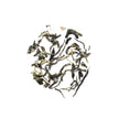 Genuine Tea - Premium Jasmine (15bg)