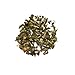 Genuine Tea - Organic Moringa Mint (15bg)