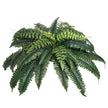 VEVOR 2Pcs Artificial Boston Ferns Plastic Fern 35 Branches Indoor Outdoor Decor