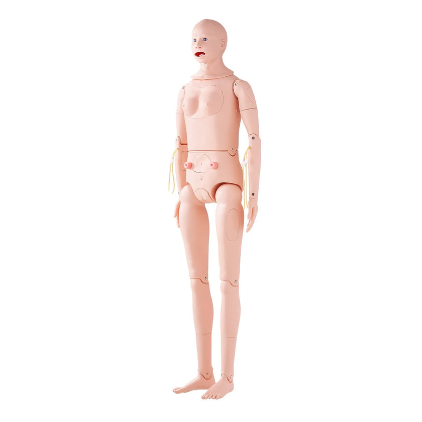 VEVOR Nursing Training Manikin, Male/Female Life Size Demonstration Human Manikin for Nursing Training, Multifunctional Education Teaching Model, PVC Anatomical Mannequin Body Care Simulator Model