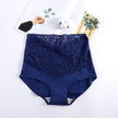 Women's Plus Size High-Waist Shaping Briefs Pant Seamless Belly Control