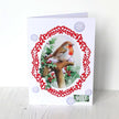 Die Cut Decoupage – Robin On Spade (Pack Of 3)