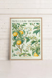 FRUIT PRINT, Oeuvre sur toile étirée