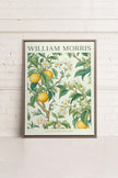 FRUIT PRINT, Oeuvre sur toile étirée