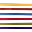 Vaessen Creative Organza Ribbon 6 Colours 6mmx2m Autumn