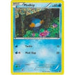 Mudkip (005/012) (MCD15)