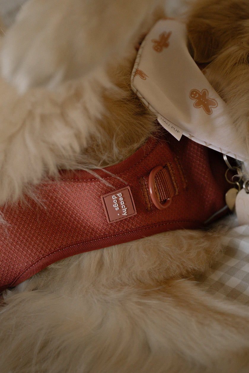 Classic 2.0 Harness Chestnut