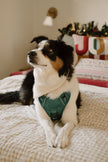 Classic 2.0 Harness Mojito