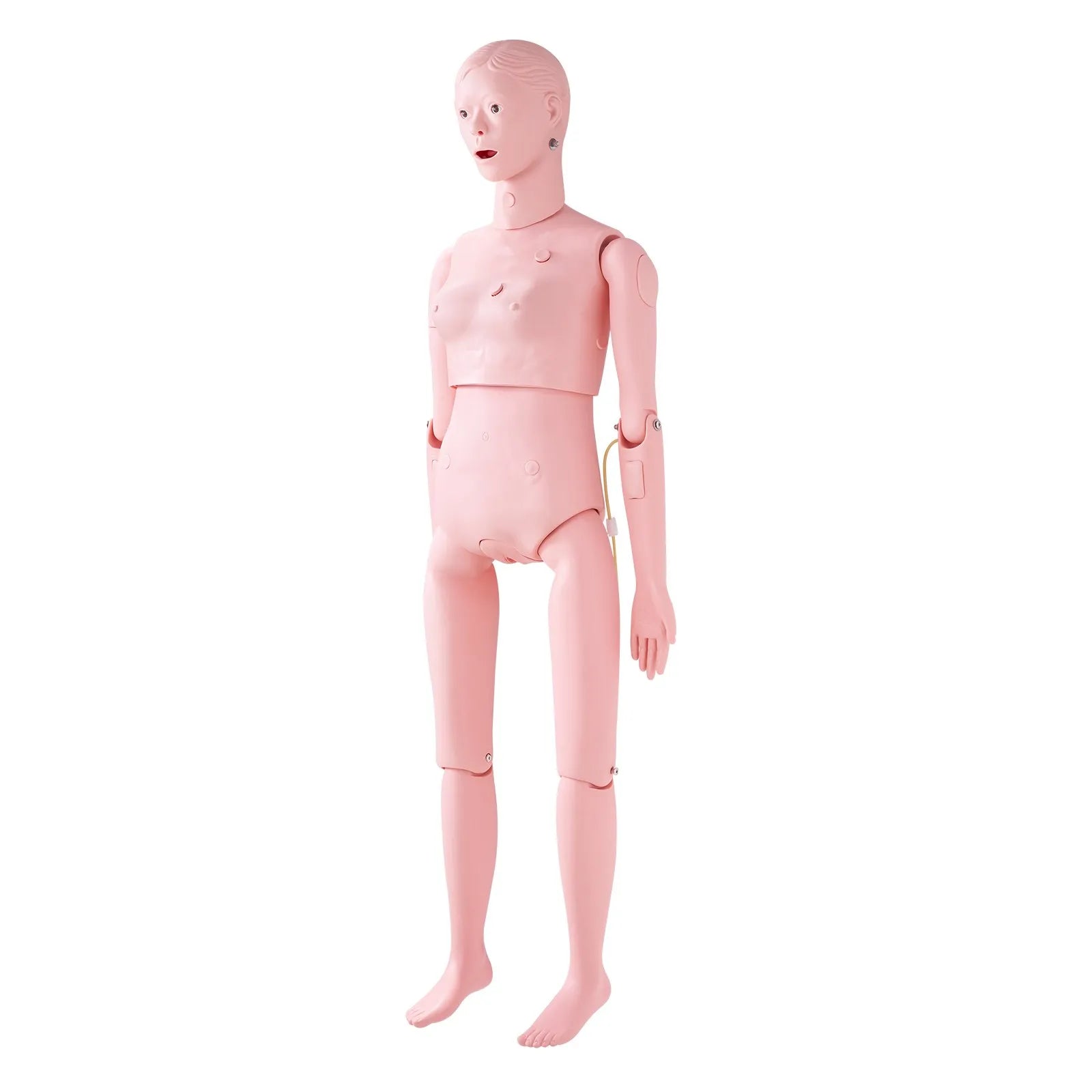 VEVOR Nursing Training Manikin, Female Life Size Demonstration Human Manikin for Nursing Training, Multifunctional Education Teaching Model Supplies, PVC Anatomical Mannequin Body Care Simulator Model