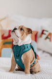 Classic 2.0 Harness Mojito