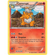 Camerupt (13/122) (BKP)