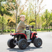 24V Can Am Renegade 1 Seater Kids ATV Ride On Car