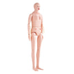 VEVOR Nursing Training Manikin, Male/Female Life Size Demonstration Human Manikin for Nursing Training, Multifunctional Education Teaching Model, PVC Anatomical Mannequin Body Care Simulator Model