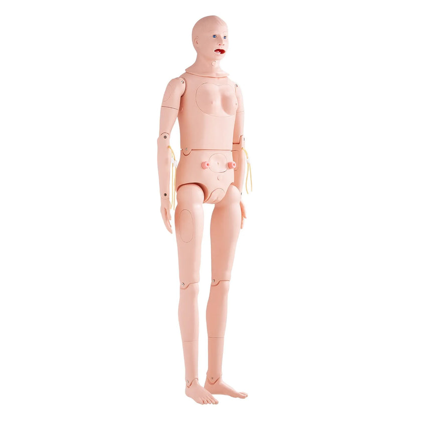 VEVOR Nursing Training Manikin, Male/Female Life Size Demonstration Human Manikin for Nursing Training, Multifunctional Education Teaching Model, PVC Anatomical Mannequin Body Care Simulator Model