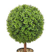 VEVOR 2x Artificial Boxwood Ball Ø40,6cm Garden Deco Boxwood in Flowerpot Ball Artificial Boxwood Ball Artificial Plant made of PE, Wood, PP incl. 4 pcs. Decorative butterflies and 10 pcs. Replacement