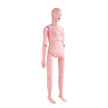 VEVOR Nursing Training Manikin, Female Life Size Demonstration Human Manikin for Nursing Training, Multifunctional Education Teaching Model Supplies, PVC Anatomical Mannequin Body Care Simulator Model