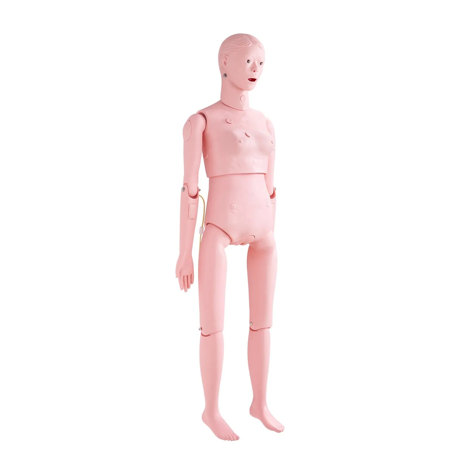 VEVOR Nursing Training Manikin, Female Life Size Demonstration Human Manikin for Nursing Training, Multifunctional Education Teaching Model Supplies, PVC Anatomical Mannequin Body Care Simulator Model