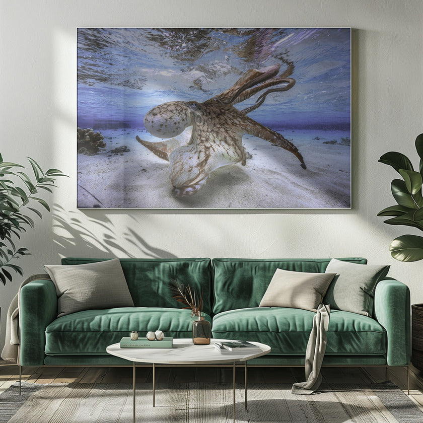 Wall Art Dancing Octopus