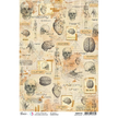 Ciao Bella Rice Paper A4 Human Anatomy