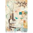 Ciao Bella Rice Paper A4 Science