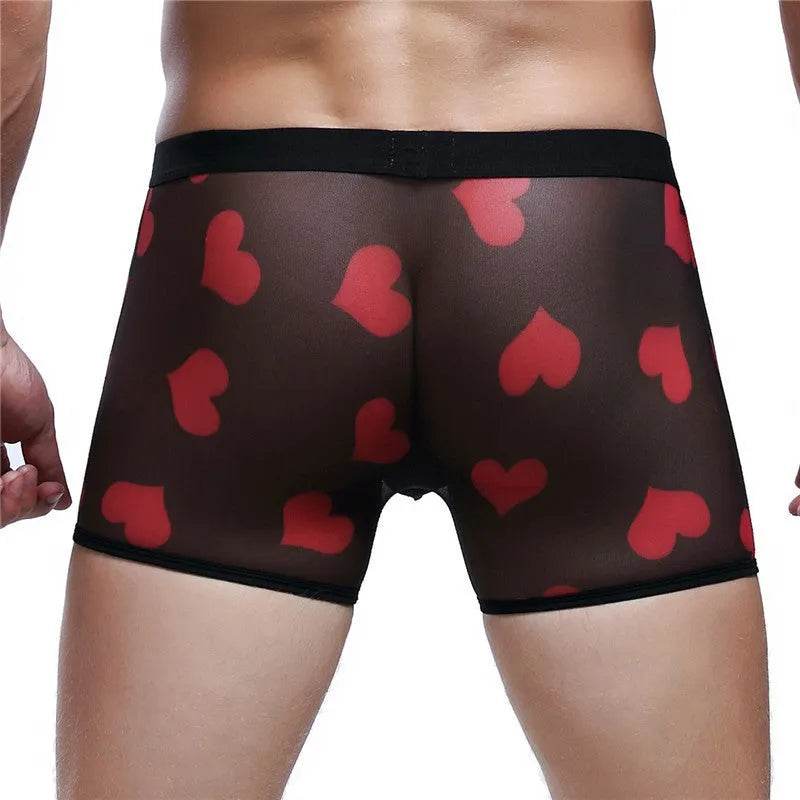 Spandex Mesh Printed Pouch boxer briefs  underwear men