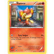 Pansear (XY131) (PR)