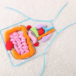 Kids Plush Anatomy Apron Toy | Learn Body Organs Canada USA