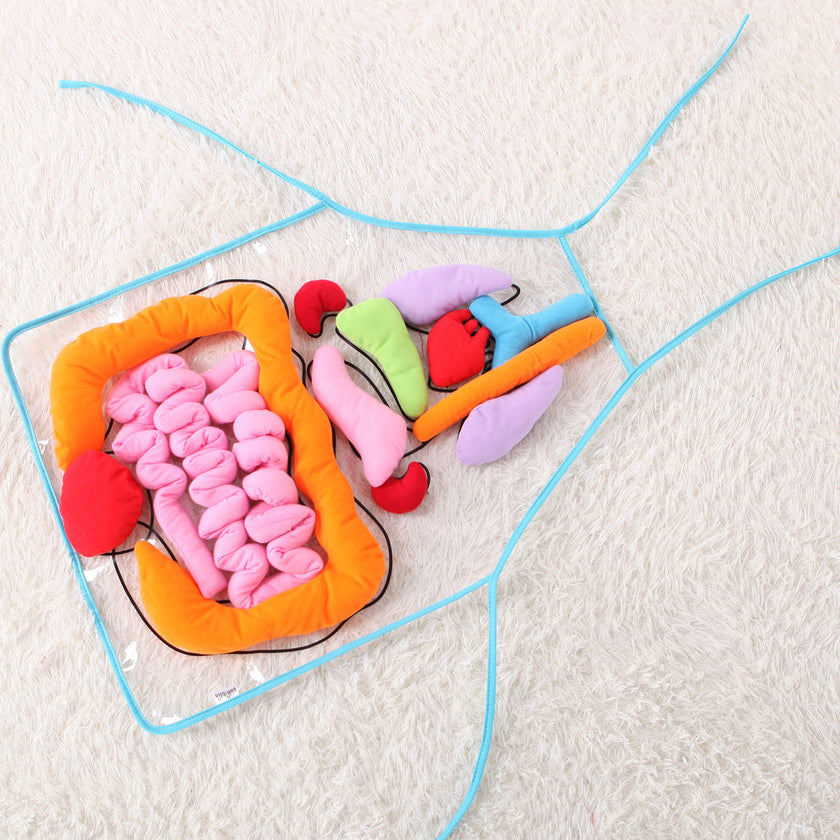 Kids Plush Anatomy Apron Toy | Learn Body Organs Canada USA
