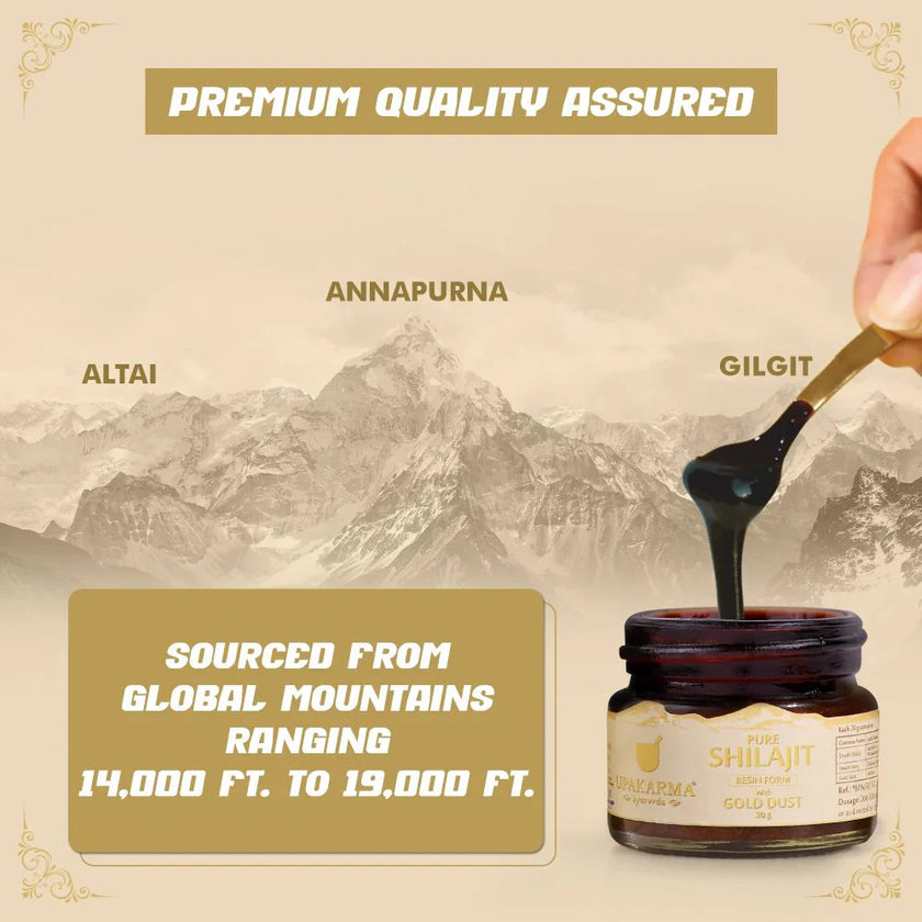 Résine de Shilajit Pure Upakarma Ayurveda avec poussière d'or