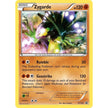Zygarde (XY152) (PR)