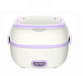 Multi-Function Electric Cooking Lunch Box – Portable & Heated