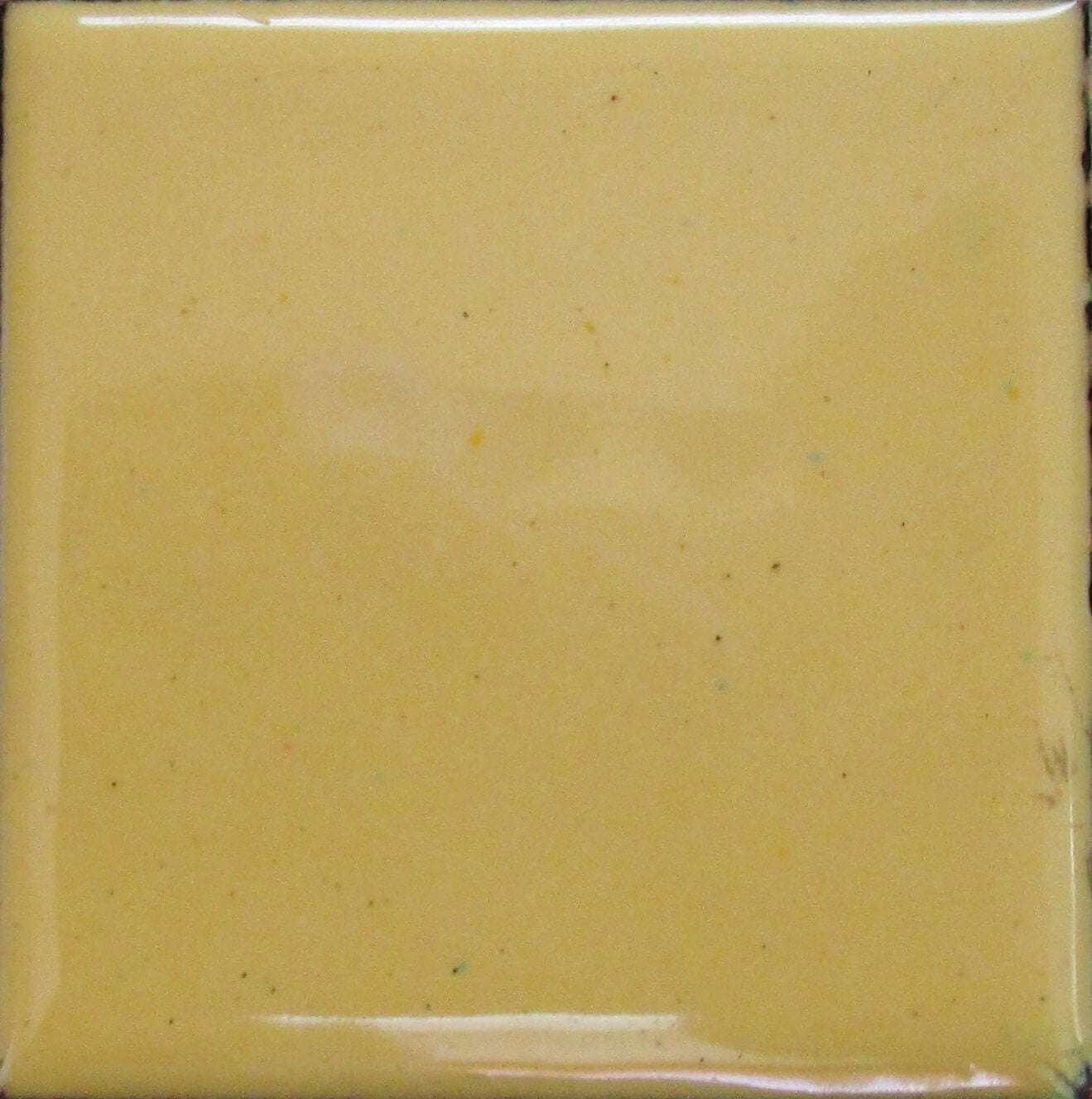 1240 Pine Yellow - 1 oz