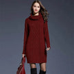 New Autumn Winter Solid Knitted Oversized Mini Turtleneck Sweater Dress