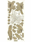 Deco Stickers - Parrots