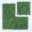 Malaga (box of 12)