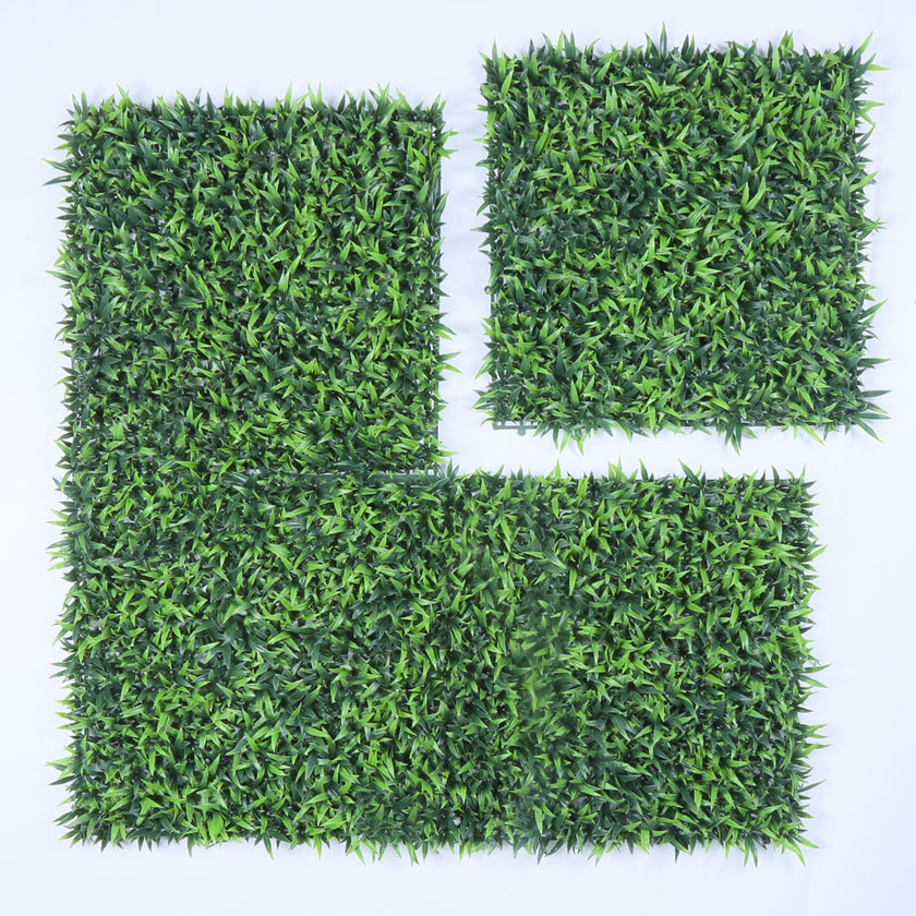 Malaga (box of 12)
