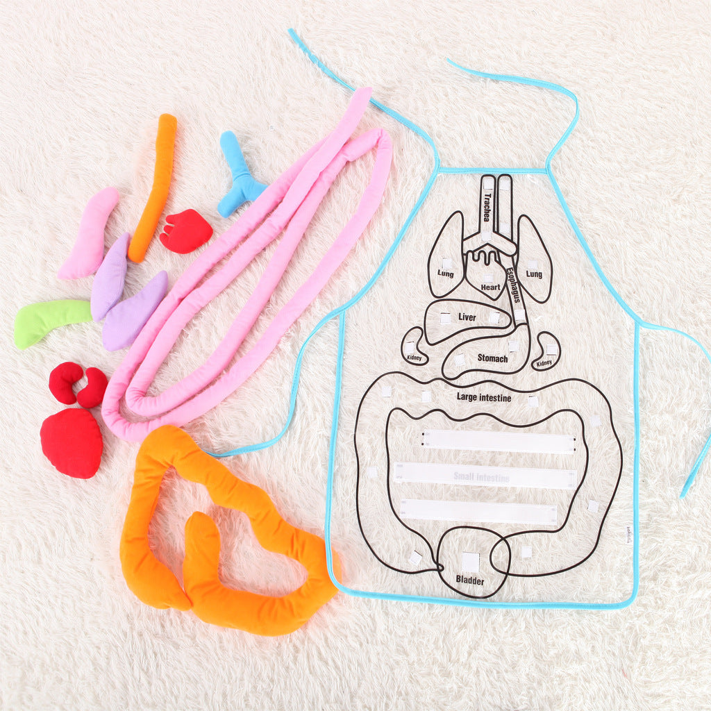 Kids Plush Anatomy Apron Toy | Learn Body Organs Canada USA