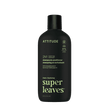 Attitude - 2-in-1 Fortifying Shampoo & Cond. (415ml)