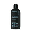 Attitude - 2-in-1 Scalp Care Shampoo & Cond. (415ml)