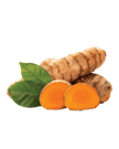 Indian Haldi (Turmeric)