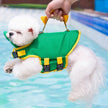 Dinosaur LifeJacket