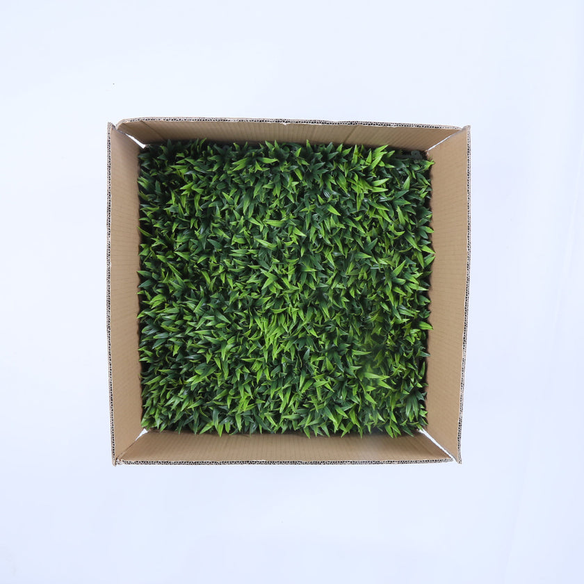 Malaga (box of 12)