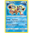 Shining Volcanion (27/73) (SHL)