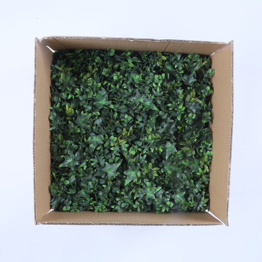 Granada (box of 12)