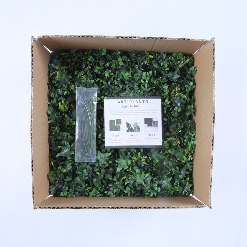 Granada (box of 12)